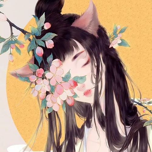 给你倾城的温柔,恋我半世的流离