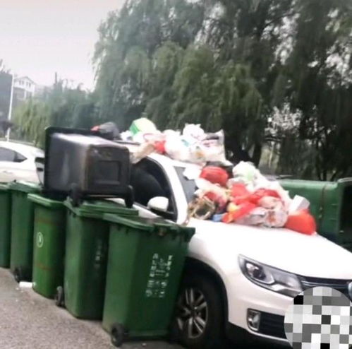 山东青岛,车位被占往车上扔垃圾,女子却吐槽车位主人没素质