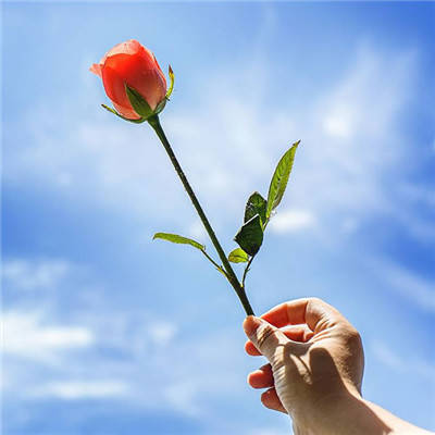 生了儿子就会享儿子福的三大生肖女早年辛苦,晚年过的幸福