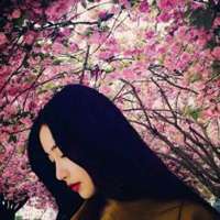 淡雅樱花头像女生头像微信头像图片大全
