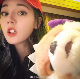 范丞丞与安吉丽娜茱莉的共同点是
