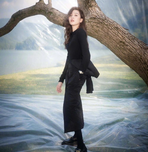 顶级女神刘诗诗新图,如诗又如画清新又雅致