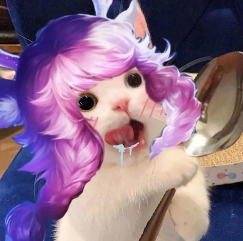 王者荣耀猫头第37期小乔猫咪女生头像,女孩子最喜欢干饭什么的啦