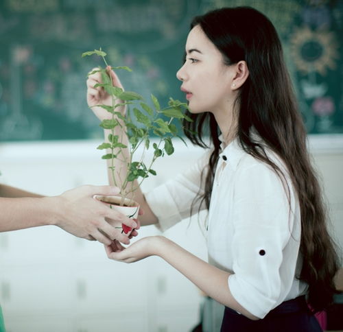 我的收藏
