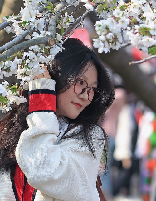 请假出个热闹帖樱花节中忙活的美女们唉今年事多,又要出去趟过几天再回来