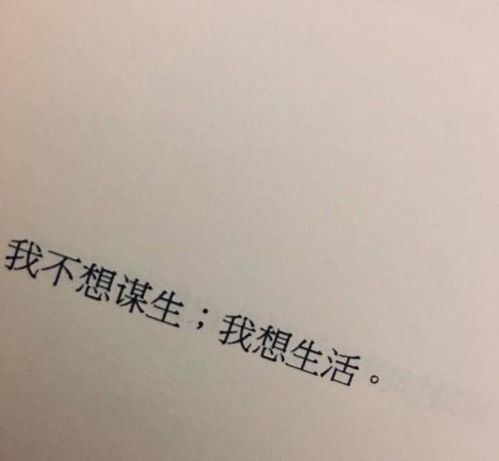 微信头像句子