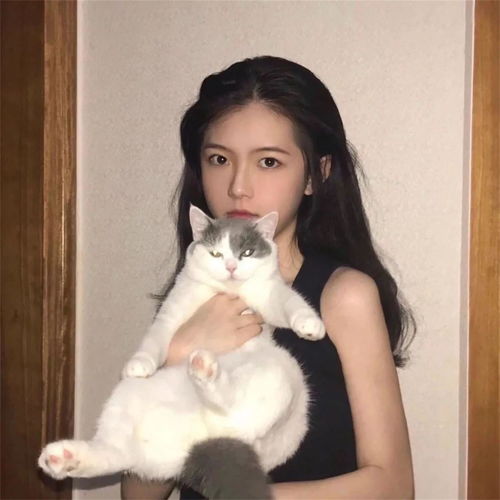 软肋林伊柔林伊柔高音质在线试听软肋歌词歌曲下载酷狗音乐