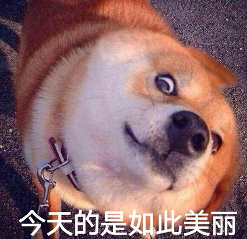 幽默段子笑话公交上来一漂亮女孩,车开动了还没有投币