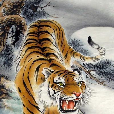 你属什么生肖,就是什么命太准了