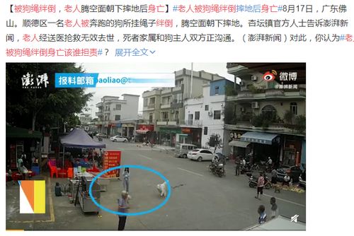 广东一老人被狗绳拽倒致摔地身亡女孩12岁法律不适合追究