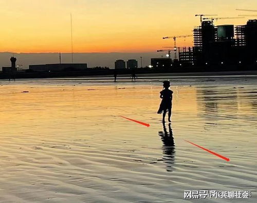 黄元芯被众多网友拍到孤身一人在海边,却错过了找她的黄金时间