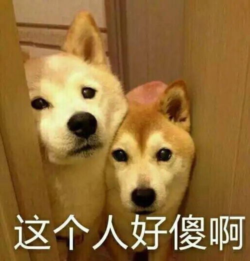相亲遇到钢铁直男