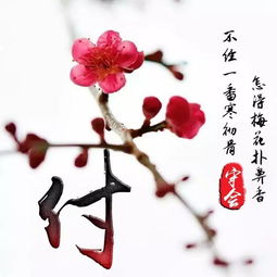 你有多久没换头像了,美到哭的一只红梅微信头像,喜欢赶紧领走