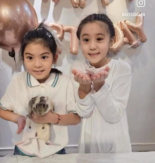贾静雯小女儿满8岁,波妞个头出众颜值高,越长越像妈妈好漂亮