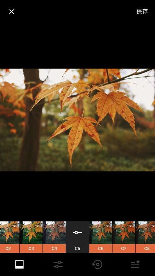怎么p出模糊的照片揭秘网红ins风照片小秘密少女必备修图app