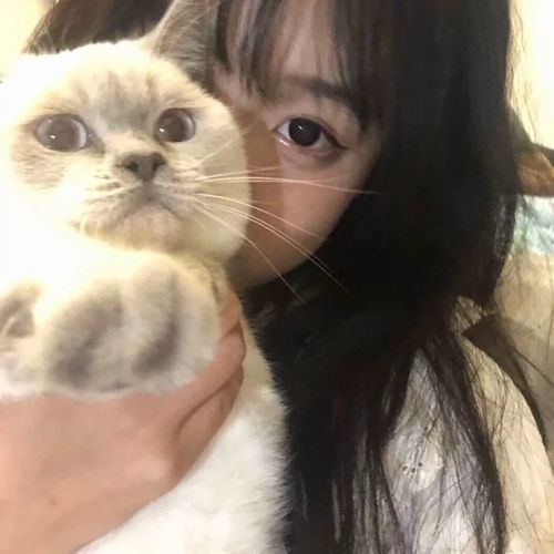 精选优质温柔小众好看的女生头像35