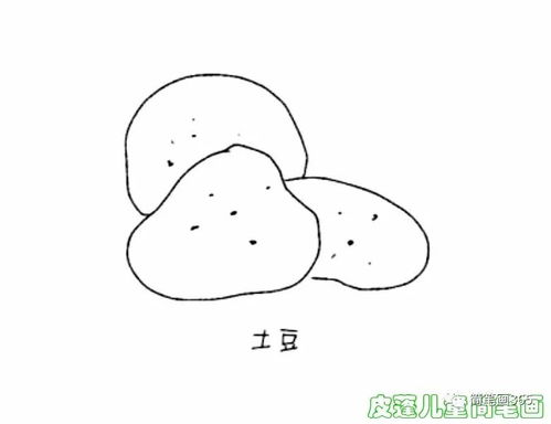 线条边框简笔画图片大全简笔画蔬菜儿童简笔画大全