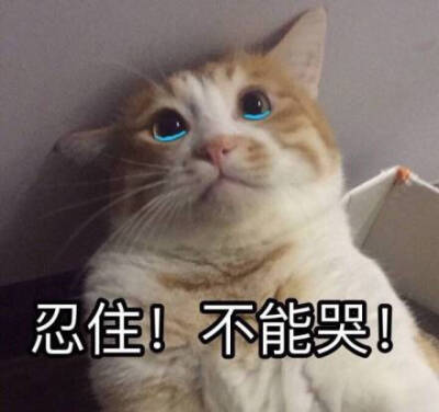 每日搞笑让人意想不到的沙雕段子,第8个我服了