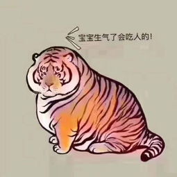 i顾帅gs专辑网易云音乐