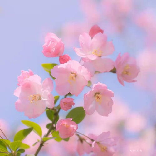沈城未来两天持续升温状态