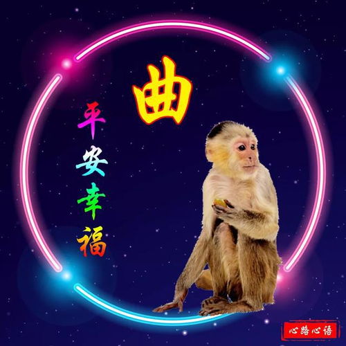吉祥如意孔姓十二生肖头像为你带来好运