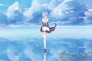 o型血12星座的职业选择
