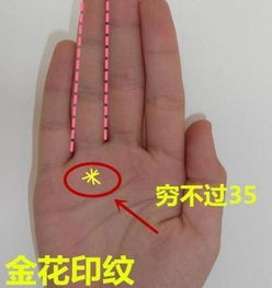 女人聚财头像图片手相