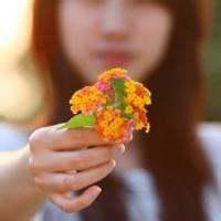 谁有类似这种女生拿花遮脸的女生头像