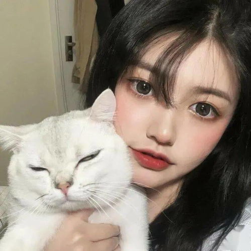 头像图片丨女生头像丨可爱的猫系女头1214