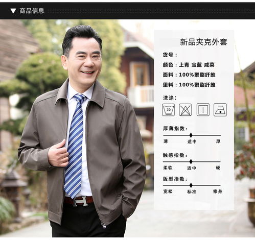 洋湖轩榭夹克男士外套2019秋季新款商务休闲短款翻领外套中山装爸爸装a