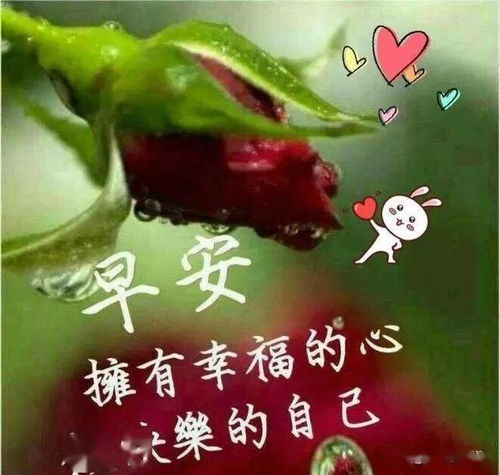 人活着就是一种心情,把握今天,设置明天,储存永远早安人生