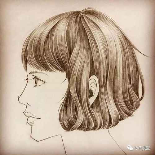 男女发型手绘