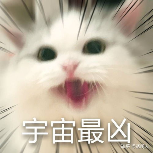 一个男孩疯狂纠缠不喜欢自己的一个天真善良的女孩,毁掉了女孩的天真,大家怎么看待这个男的