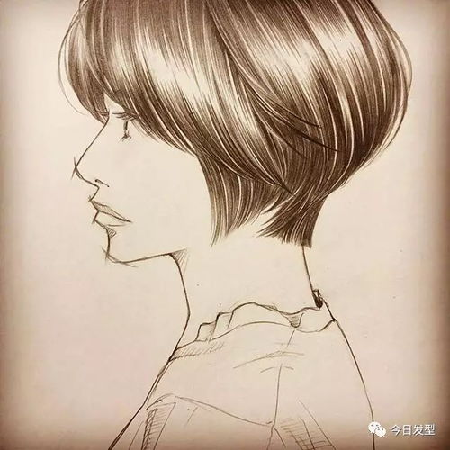 男女发型手绘