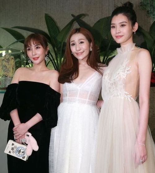 何超盈生女儿前也漂亮,曾与奚梦瑶同穿仙女裙,两人美得难分上下