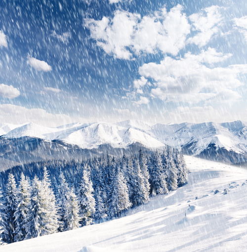高清冬季冬天雪景自然风景jpg摄影图下载至来源处