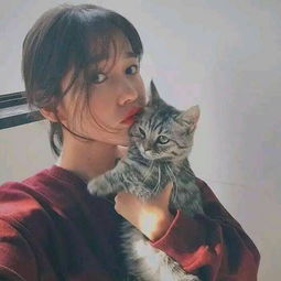 这张图片有情头吗