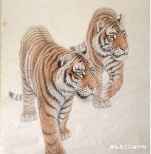 生肖虎善有善报,恶有恶报,明后两天你就知道