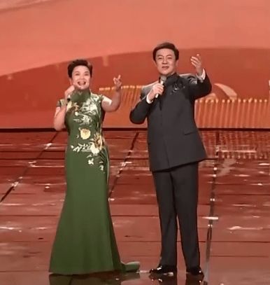 春晚最惊艳女星李思思丝绒天鹅颈,李宇春性感,伊丽媛华贵雍容