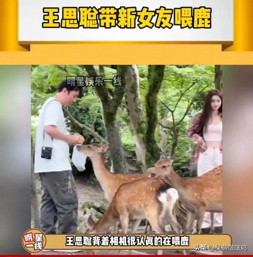 王思聪带新女友又去喂鹿,网友调侃流程都是旧的,只有人是新的