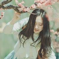有樱花背景的头像微信头像图片大全
