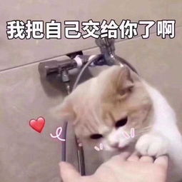 幽默笑话男孩第一次去女友家,回来后便一直闷闷不乐室友问他怎么了山顶