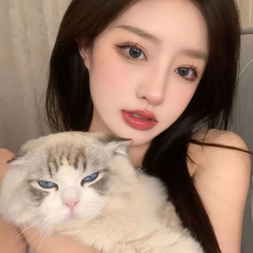头像抱猫女头