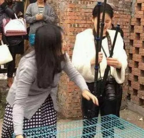 大街一灰衣女子,披头散发蜷缩狗笼,结果路人看见牌上的字愤怒了