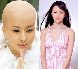 范冰冰杨幂赵薇林志玲女星光头造型pk谁更美些