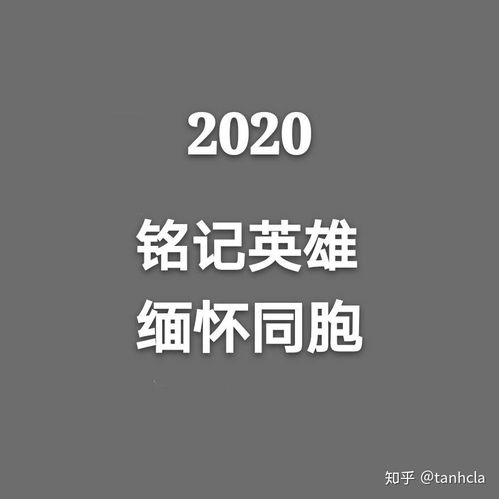 大家怎么看今天人们缅怀牺牲的人的将头像换成灰色的行为