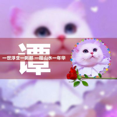 可爱小猫姓氏头像图片,超美创意小猫加百家姓