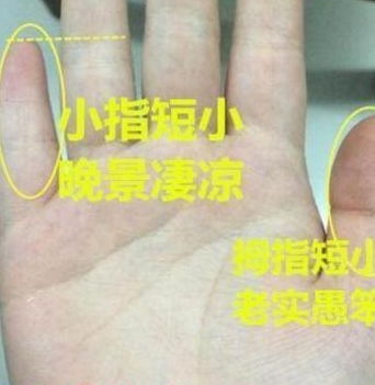 此手相者缺一点缺所有,没有成富贵的野心注定一世打工