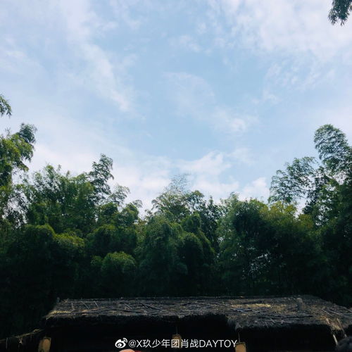 肖战晒丸子头自拍,给敖子逸发搞笑表情包,网友皮皮战回来了