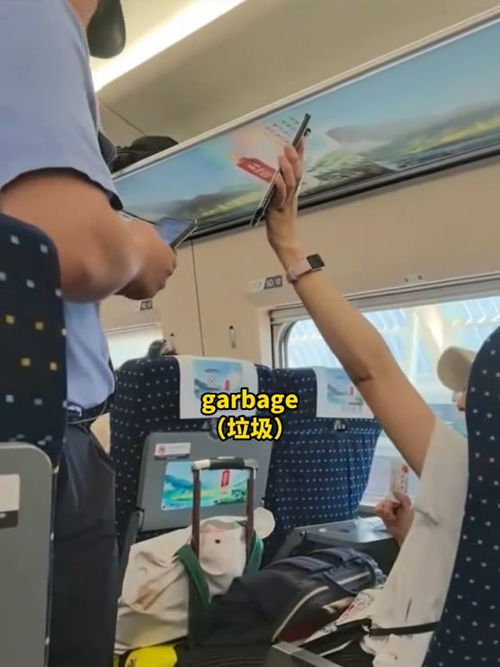 高铁飙英语骂哭乘务员后续,女子身份曝光,系上海小学英语老师